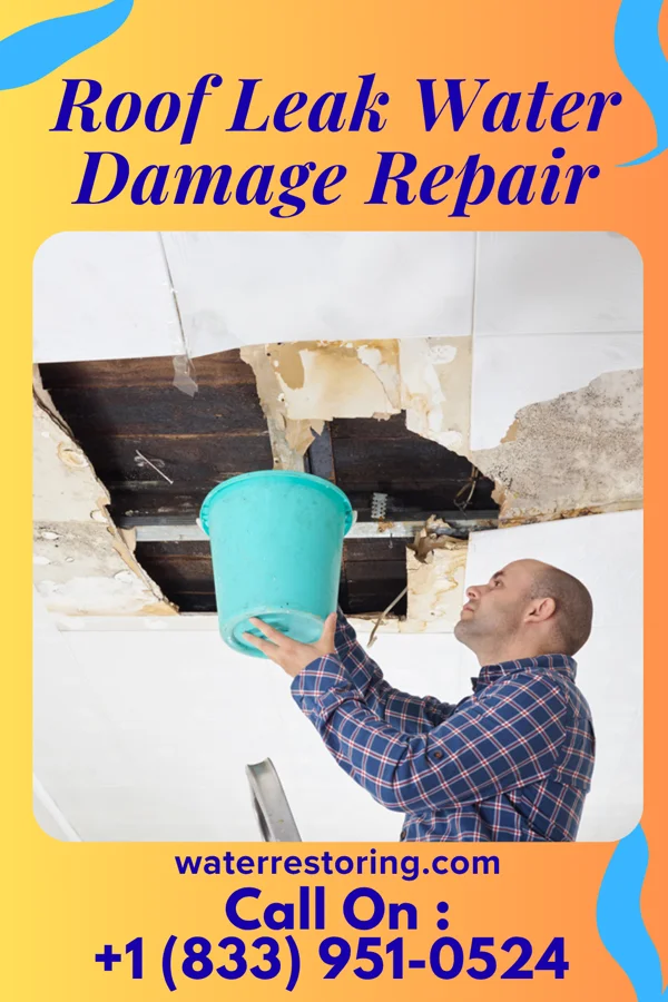 Roof Leak Water Damage Repair in Joshua, TX