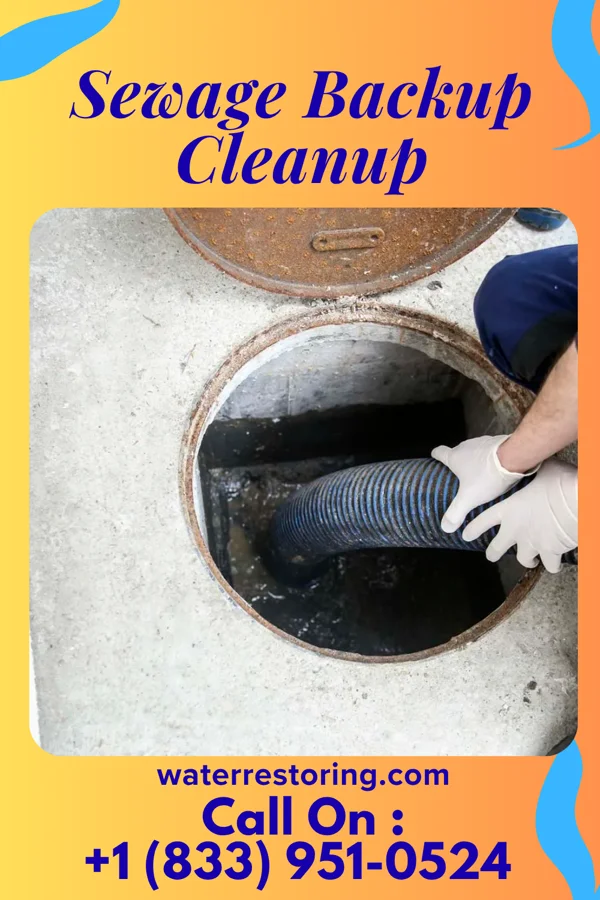 Sewage Backup Cleanup in Joshua, TX